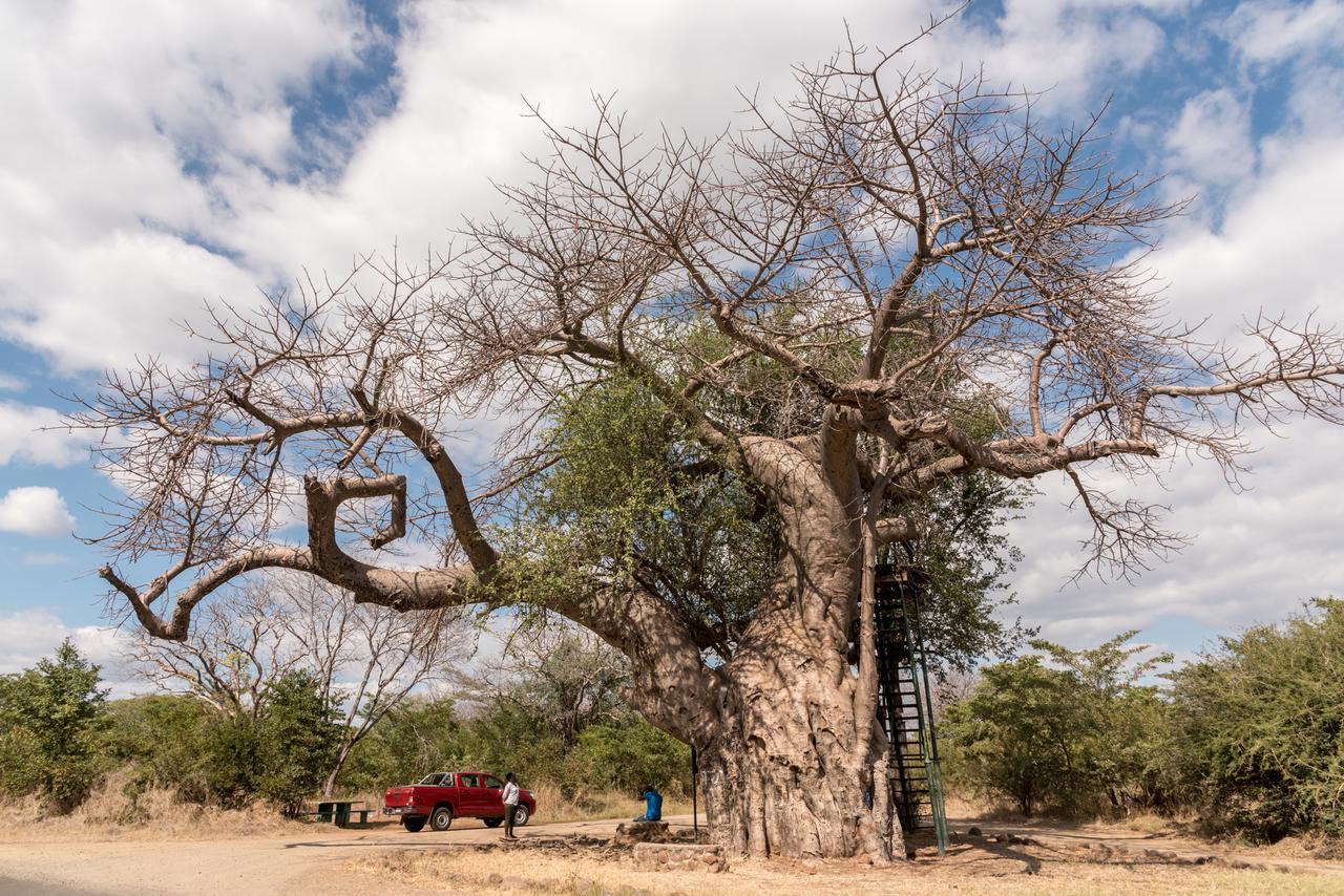 Okavango Lodge Livingstone Exterior photo