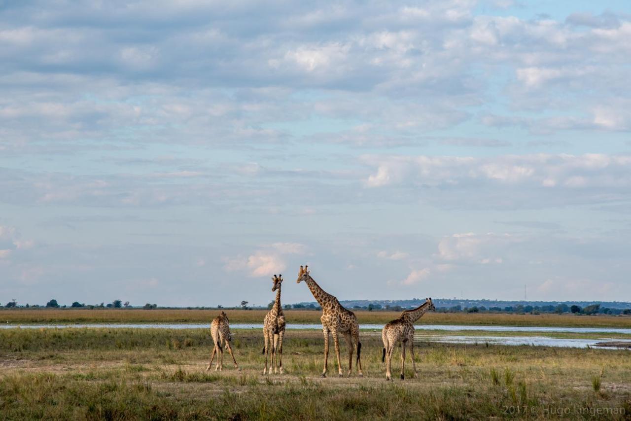 Okavango Lodge Livingstone Exterior photo